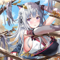 This is a pixiv picture whose title is ねこさん.
