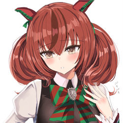 This is a pixiv picture whose title is NN.