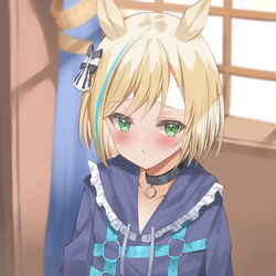 This is a pixiv picture whose title is リトルココン.