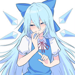 This is a pixiv picture whose title is 大人チルノ.