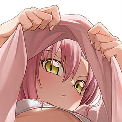 This is a pixiv picture whose title is 桂ヒナギク.