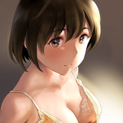 This is a pixiv picture whose title is チラ見せ飛龍.