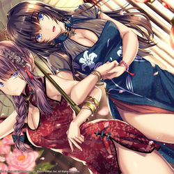 This is a pixiv picture whose title is イチャイチャイナ姉妹【アズレン】.