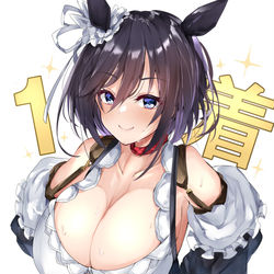 This is a pixiv picture whose title is エイシンフラッシュ.