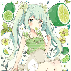 This is a pixiv picture whose title is ライム.