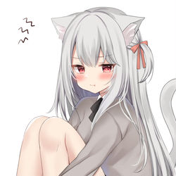 This is a pixiv picture whose title is 不機嫌なねこちゃん.