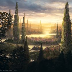 This is a pixiv picture whose title is Sungrass Prairie from Magic:tG.