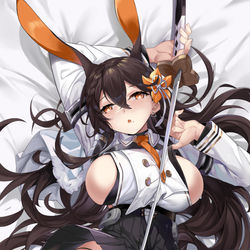 This is a pixiv picture whose title is 筑摩.