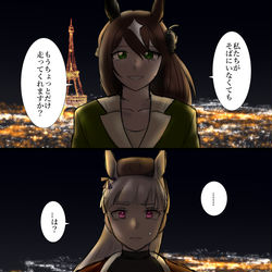 This is a pixiv picture whose title is フランスの夜.