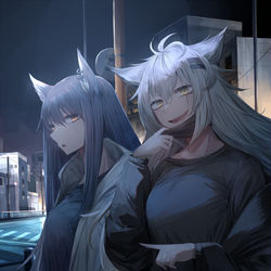 This is a pixiv picture whose title is night.