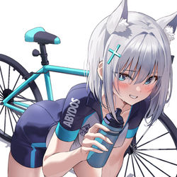 This is a pixiv picture whose title is シロコちゃん.