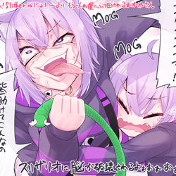 This is a pixiv picture whose title is 悲報：猫又おかゆ温厚じゃなかった.