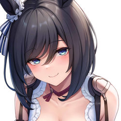 This is a pixiv picture whose title is エイシンフラッシュ.