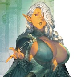 This is a pixiv picture whose title is ダークエルフ.