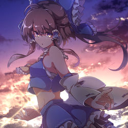 This is a pixiv picture whose title is 空飛ぶ巫女の不思議な毎日.