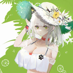 This is a pixiv picture whose title is 摸鱼19.--凯猫猫夏装.