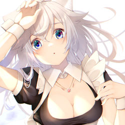 This is a pixiv picture whose title is 白猫メイド.