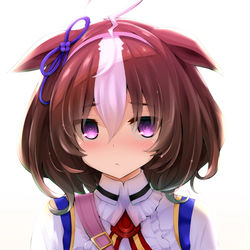 This is a pixiv picture whose title is メイショウドトウ.