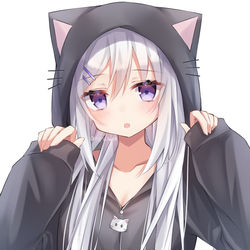 This is a pixiv picture whose title is 猫耳パーカー.