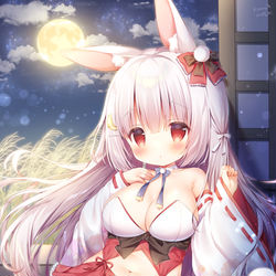 This is a pixiv picture whose title is 今夜は月が綺麗ですよ.