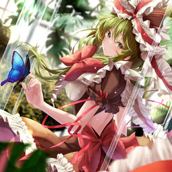 This is a pixiv picture whose title is 鳳蝶.