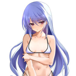This is a pixiv picture whose title is 風見一姫.
