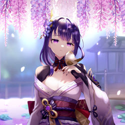 This is a pixiv picture whose title is 雷電将軍.