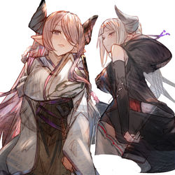 This is a pixiv picture whose title is ナルメア.