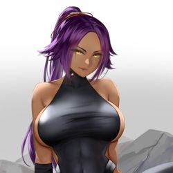 This is a pixiv picture whose title is 四楓院夜一.