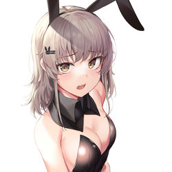 This is a pixiv picture whose title is BunnyGirl.