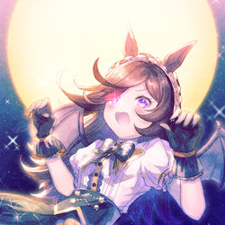 This is a pixiv picture whose title is ハロウィン🎃ライスちゃん.