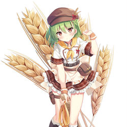 This is a pixiv picture whose title is 【お仕事】花騎士　ライムギ.