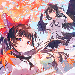 This is a pixiv picture whose title is 小説の表紙イラスト【第八回博麗神社秋季例大祭】.
