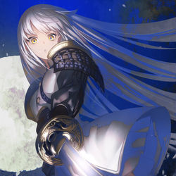 This is a pixiv picture whose title is 剣聖.