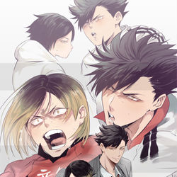 This is a pixiv picture whose title is HQ NEKOMA.