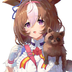 This is a pixiv picture whose title is タヌキさん.
