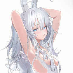 This is a pixiv picture whose title is バニルマラン.