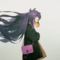 This is a pixiv picture whose title is ina.