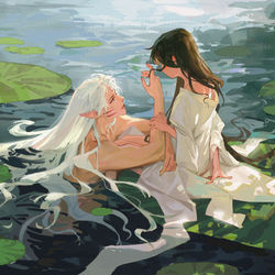 This is a pixiv picture whose title is 荷.