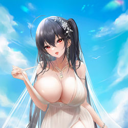 This is a pixiv picture whose title is 大凤.
