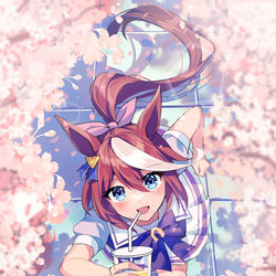 This is a pixiv picture whose title is トウカイテイオーと春.
