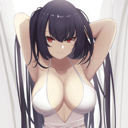 This is a pixiv picture whose title is 大鳳.