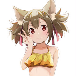 This is a pixiv picture whose title is シリカ.