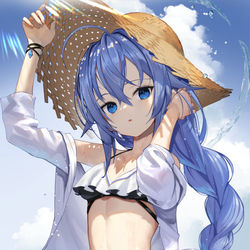 This is a pixiv picture whose title is 水着ロキシー.