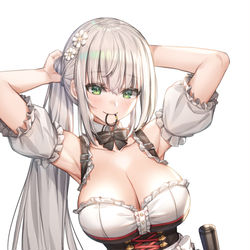 This is a pixiv picture whose title is 白銀ノエル.