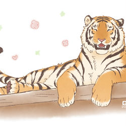 This is a pixiv picture whose title is 虎さん大好き.
