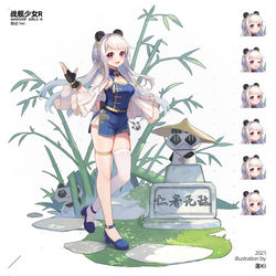 This is a pixiv picture whose title is 【仕事絵】戦艦少女R.