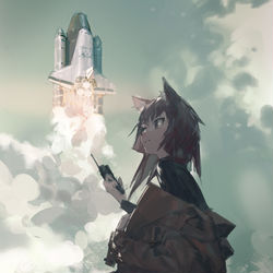 This is a pixiv picture whose title is cat rocket.
