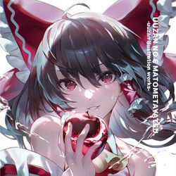 This is a pixiv picture whose title is 秋季例大祭新刊.