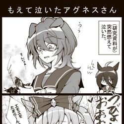 This is a pixiv picture whose title is もえて泣いたアグネスさん.